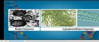 The main stages of the evolution of flora and fauna The first organisms on earth biology message